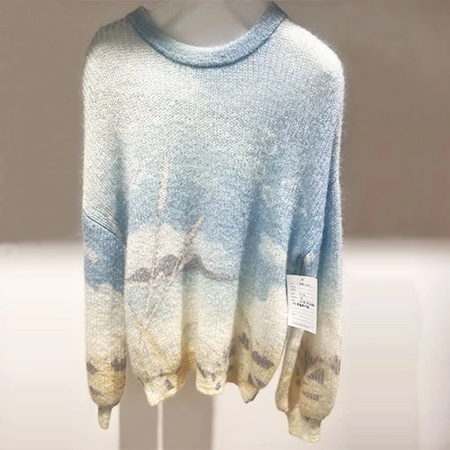 Дизайнерські светри Cerwneck