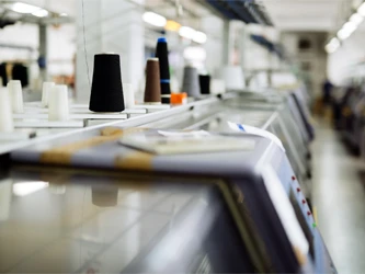 Стан розвитку шортів